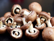 مشروم کھائیں اور کینسر بھگائیں