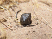 سوا دو کروڑ سالہ سفر کے بعد زمین تک پہنچنے والا شہاب ثاقب