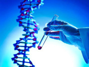 پاکستان اور چین کے درمیان جینیاتی تحقیق میں اشتراک کے نئے امکانات روشن، جینز بینک کے قیام پر غور