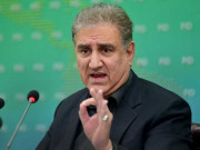 مسئلہ فلسطین پر مسلم امہ کو متحد ہونا ہوگا وزیر خارجہ