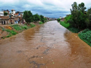 منچھر جھیل کا زہر یلا پانی نہر میں شاملمکلی کو سپلائی بند