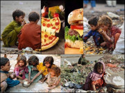 صرف ایک پیزا یا کباب