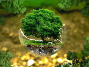 پاکستان اس سال عالمی یوم ماحولیات کی میزبانی کرے گا