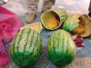 تربوزوں میں چھپائی گئی 20 کلو چرس برآمد