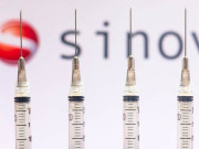 عالمی ادارہِ صحت نے  چینی ویکسین سائنو ویک کی منظوری دیدی