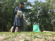 پاکستان کی میزبانی میں ماحولیات کاعالمی منایا گیا