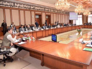 ای سی سی اجلاس کورونا کے طبی آلات کی درآمد پرٹیکسوں میں چھوٹ کا امکان