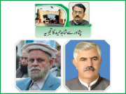 حکومت وزراء کی تعداد آئینی حدود کے مطابق کرنے میں کامیاب