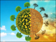 درخت لگائیے زندگی بچائیے