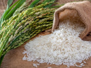 پاکستانی چاولوں کی برآمدات میں اضافے کیلیے ورچوئل رائس ایکسپو کا انعقاد