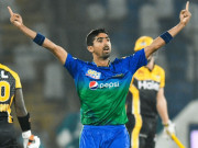 کھیتی باڑی کرنے والے دھانی نام کمانے لگے