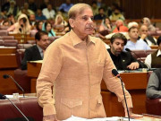 بجٹ بحث شہباز شریف کا ڈیری مصنوعات درآمدی گیس و مشینری پر ٹیکس ختم کرنے کا مطالبہ