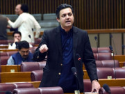کرپشن کے زور پر ترقی ہوتی تو سندھ تو کیلیفورنیا بن چکا ہوتا حماد اظہر