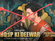 سجل علی اور احد رضامیر کی ویب سیریز ’دھوپ کی دیوار‘ پر پابندی کا مطالبہ