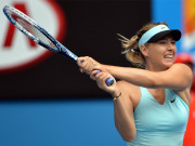 آسٹریلین اوپنڈومنیکا نے ماریا شراپوا کو راہ سے ہٹا دیا