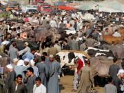 عید پر کورونا کی چوتھی لہر زیادہ خطرناک ہو سکتی ہے ماہرین طب