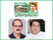 تحریک انصاف اور حکومت پر موسمی پرندوں کا غلبہ ہے 