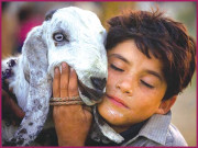 عیدقرباں احکامِ شرعیہ کی روشنی میں