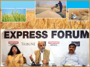 غذائیت کی کمی دور کرنے کیلئے گندم کی بائیو فورٹیفکیشن کرنا ہوگی