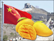 چین مقدس آم اور پاکستان