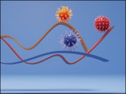 میوٹیشنز اور کورونا وائرس کی نئی اقسام حصہ سوم