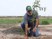 لاہور کے شہری کا ایک لاکھ پودے لگانے کا عزم