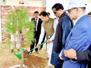 گوجرانوالہ ایک منٹ میں زیادہ پودے لگانے کا بھارتی ریکارڈ توڑنے کی تیاریاں