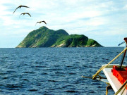  جہاں خوف کے سائے پھیلے ہیں 