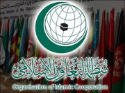 او آئی سی کے انسانی حقوق کمیشن کا لائن آف کنٹرول کا دورہ