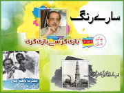 سارے رنگ