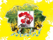زباں فہمی گُل مُہر گُل مِہریا گُل مور