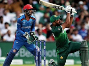 پاک افغان کرکٹ سیریز اگلے سال اگست میں متوقع