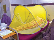 خیبرپختونخوا میں کورونا کے بعد مرض ڈینگی نے بھی ڈیرے ڈالنا شروع کردیئے