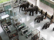 لاہور کے دو گمنام عجائب گھر