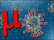 کیا کورونا وائرس کا ’میو ویریئنٹ‘ انتہائی خطرناک ہے