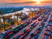 شوکت ترین درآمدات کے متعلق غلط تخمینوں پر حکام پر برہم