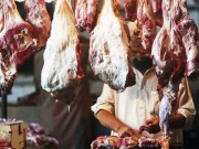 مضر اشیائے خوردونوش اور گوشت فروخت کرنے والوں کے خلاف کارروائی