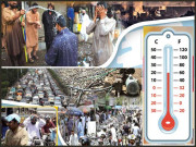 شہر قائد میں آلودگی نے شجر کاری کو مات دے دی