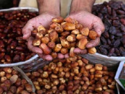 پاکستان کھجور کی پیداوار کا پانچواں بڑا ملک بن گیا