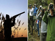 پنجاب میں جنگلی حیات کے تحفظ اورایکو ٹورازم کو فروغ دینے کیلئے اقدامات شروع