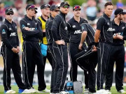 کیویز کو ’’بچے‘‘ نہ سمجھنا