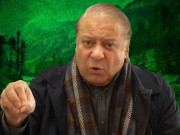 ہمارا مطالبہ صاف اور شفاف انتخابات ہیں اور یہ ہمارا جمہوری حق ہے نوازشریف