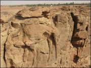 سعودی عرب میں اونٹوں کے دیوقامت مجسمے اہرامِ مصر سے بھی قدیم تھے