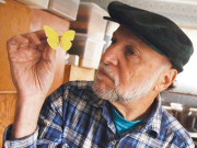 اسٹیون کُچر کیڑے مکوڑوں کو ’ اداکار‘ بنانے والا فن کار 