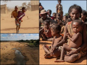 مڈغاسکر سے سبق لیجئے