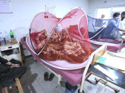 خیبرپختونخوا میں ایک دن کے دوران 102 مریضوں میں ڈینگی وائرس کی تشخیص