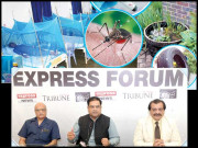 ڈینگی کے تدارک کیلئے صحتمند معاشرتی رویے اپنانا ہونگے