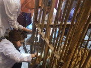 جنگلی جانوروں کی بریڈنگ سائنسی بنیادوں پر کیوں نہیں کروائی جاتی