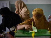 خیبرپختونخوا حکومت نے صوبے میں مرحلہ وار بلدیاتی انتخابات کی منظوری دے دی