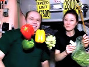 روسی خلا بازوں کا خلائی اسٹیشن پر سبزیاں اُ گانے کا دعویٰ 